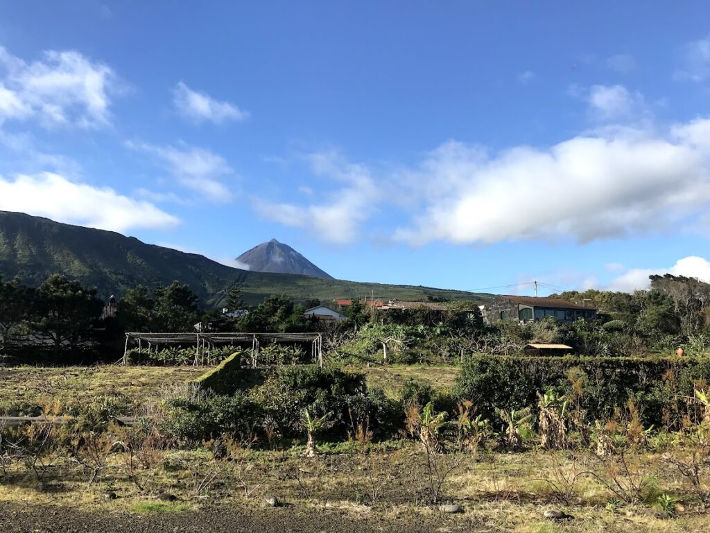 blick-auf-hacienda-mit-wein-und-Pico-im-hintergrund